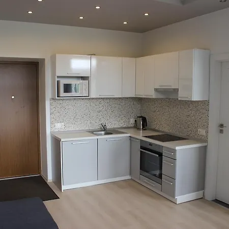 Center - K. Mindaugo G.