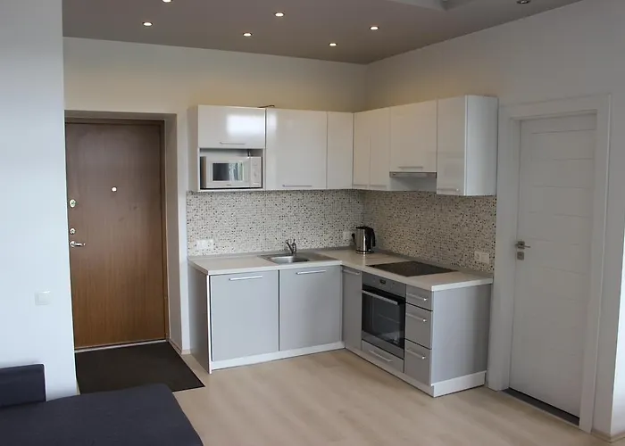 Center - K. Mindaugo G.